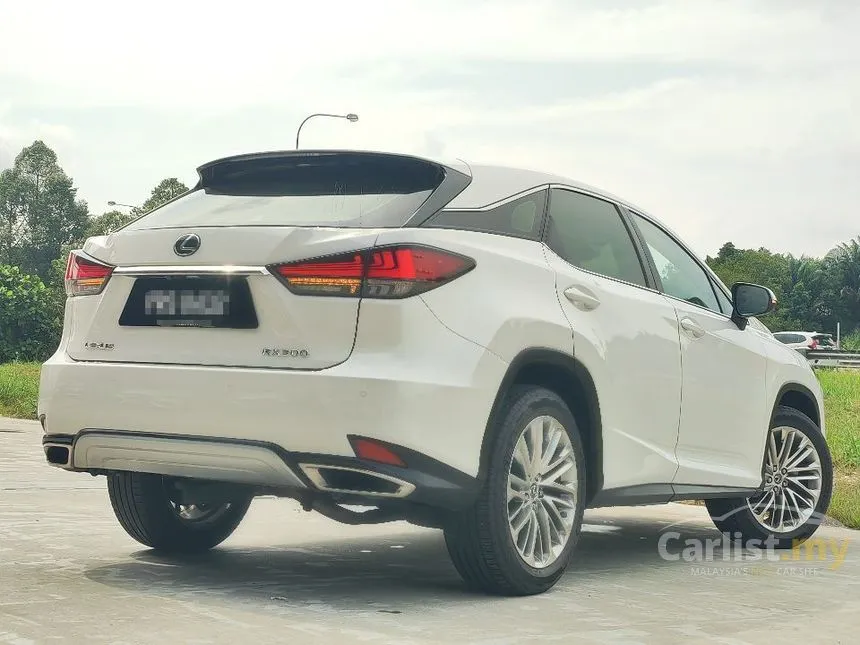 2020 Lexus RX 300 Luxury SUV