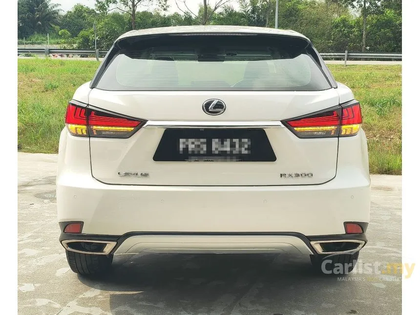 2020 Lexus RX 300 Luxury SUV