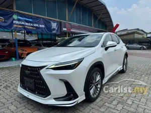 2022 Lexus NX 250 2.5 Luxury SUV