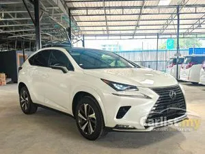 2020 Lexus NX 300 2.0 F Sport SUV