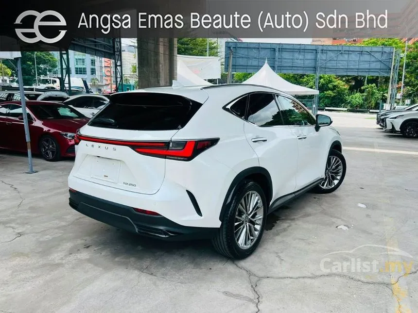2023 Lexus NX 250 Luxury SUV