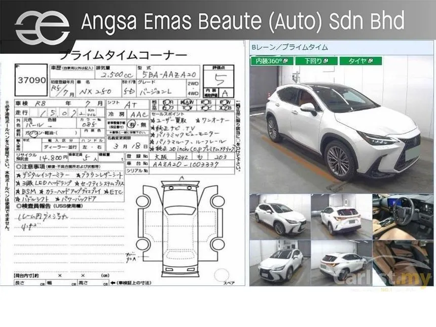 2023 Lexus NX 250 Luxury SUV