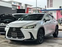 UNREG 2023 Lexus NX250 2.5 Version L, Black Interior, Panoramic Roof, HUD, DIM, BSM, 360 Camera, Power Boot, Leather Seat, MIL 47K ONLY