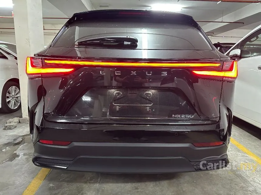 2023 Lexus NX250 Luxury SUV