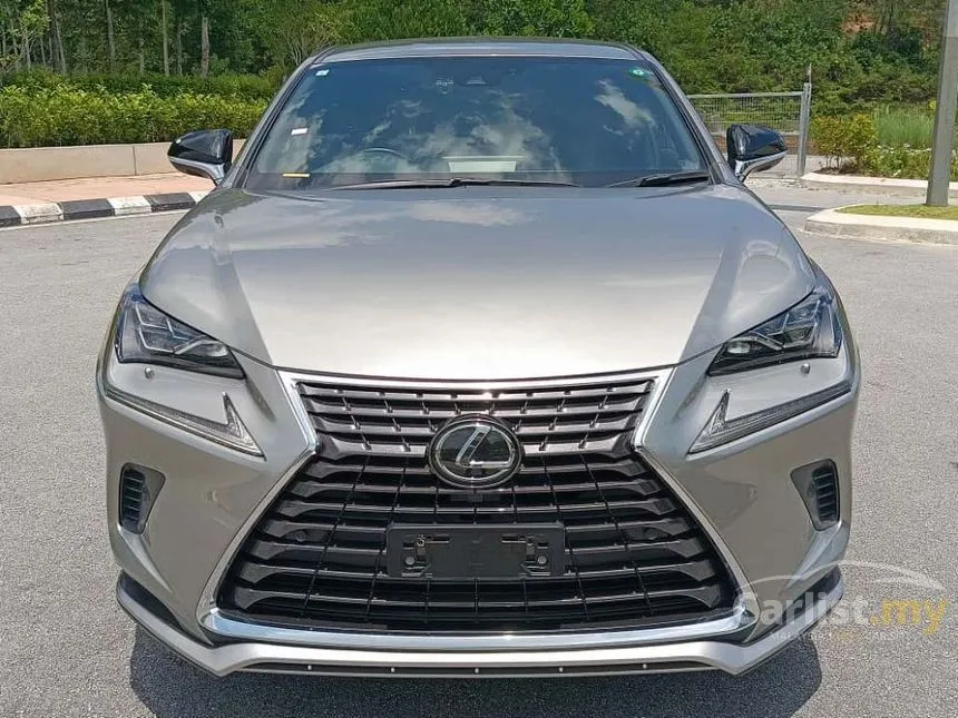2021 Lexus NX 300 Premium SUV