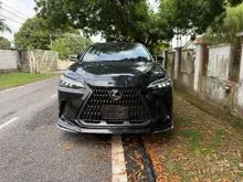 2023 Lexus NX 250 2.5 Version L Modellista Aero