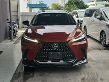 2022 Lexus NX 250 2.5 Luxury SUV