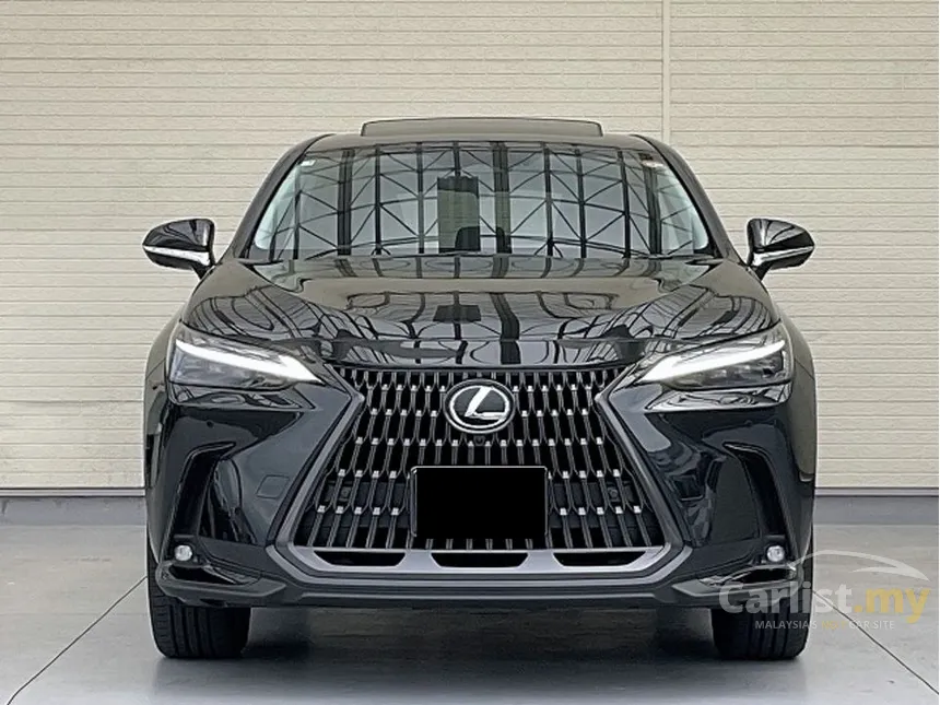 2025 Lexus NX 250 Luxury SUV