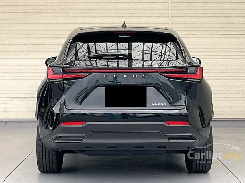 2025 Lexus NX 250 Luxury SUV