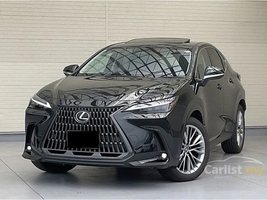 2025 Lexus NX 250 Luxury SUV