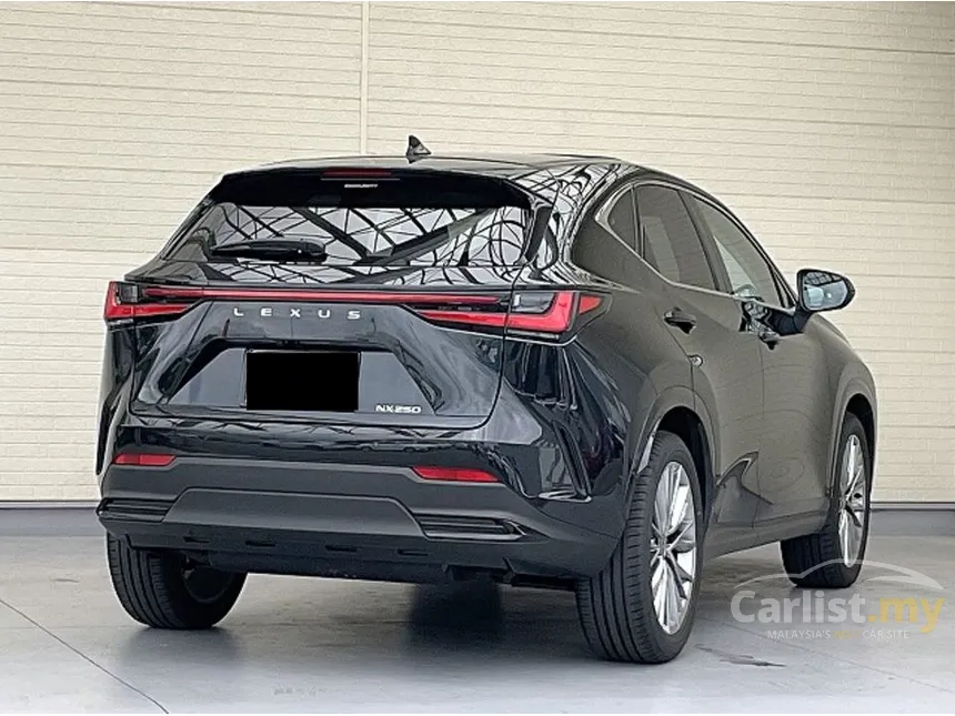 2025 Lexus NX 250 Luxury SUV