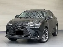 2025 Lexus NX 250 2.5 Luxury SUV INCOMING STOCK