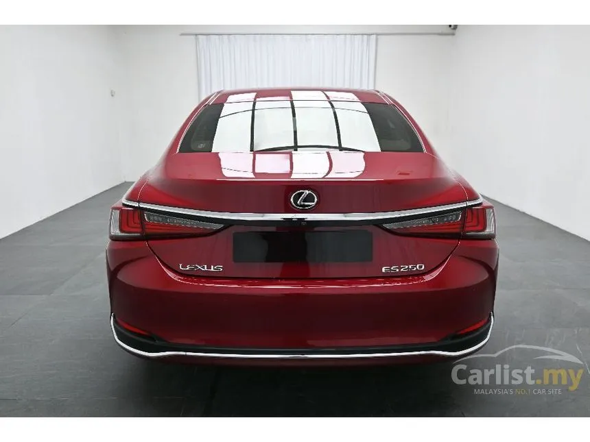 2019 Lexus ES 250 Luxury Sedan