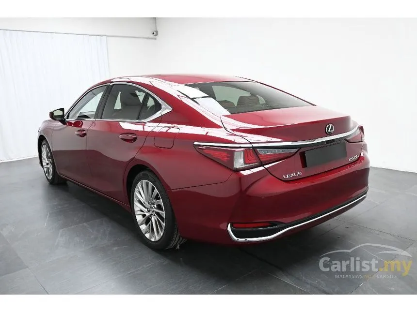 2019 Lexus ES 250 Luxury Sedan