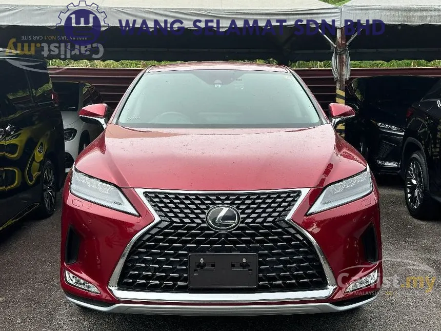 2020 Lexus RX300 Luxury SUV