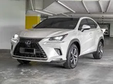 2018 Lexus NX 300 2.0 Urban SUV