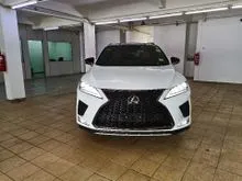 2020 Lexus RX300 2.0 F Sport Facelift (A) LOCAL AP