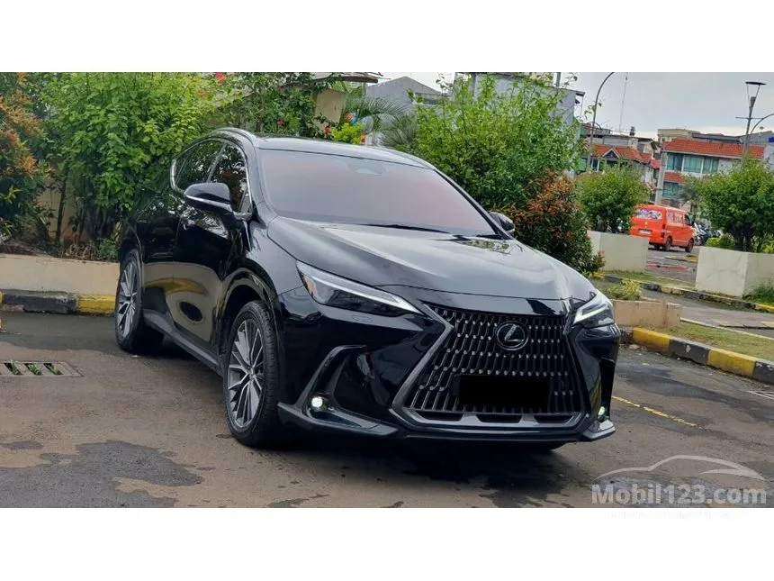 2023 Lexus NX 250 Luxury SUV
