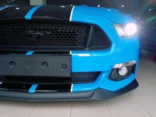 ( THIS PONY SURE CAN RUN ) 2016 Ford Mustang 5.0 GT