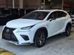 Recon 2019 Lexus NX300 2.0 F Sport #M0223