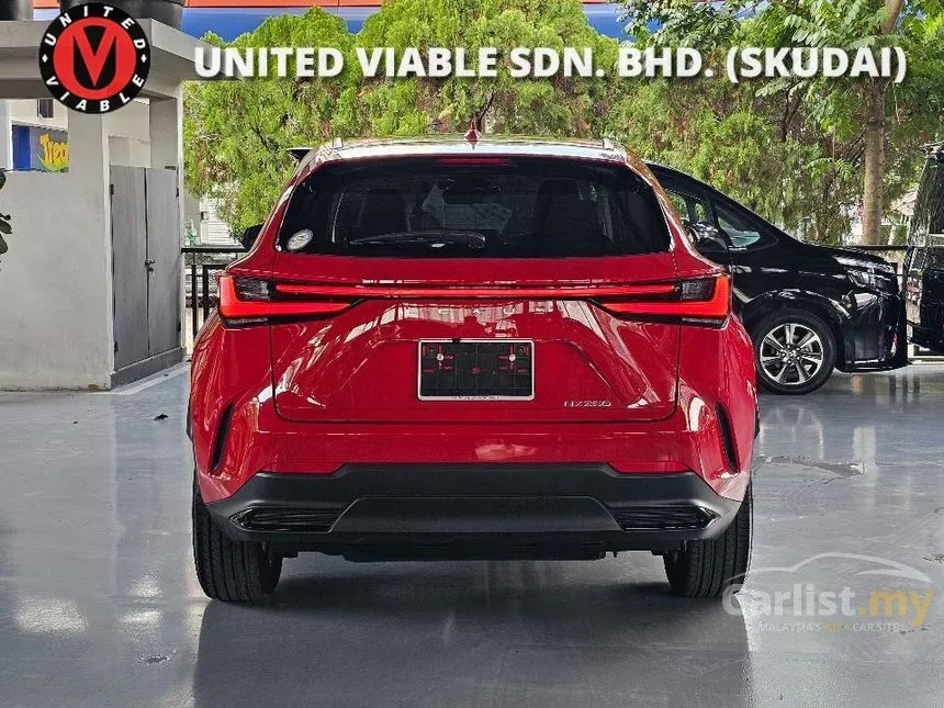 2021 Lexus NX 250 Luxury SUV