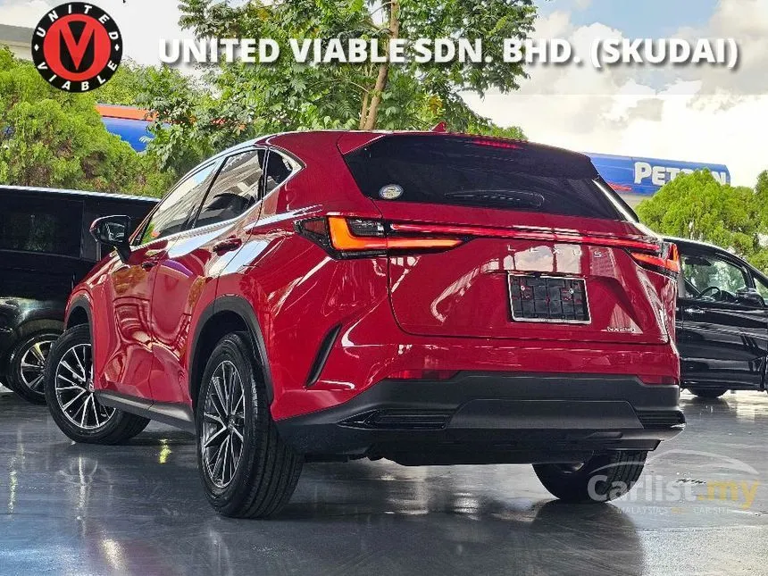 2021 Lexus NX 250 Luxury SUV