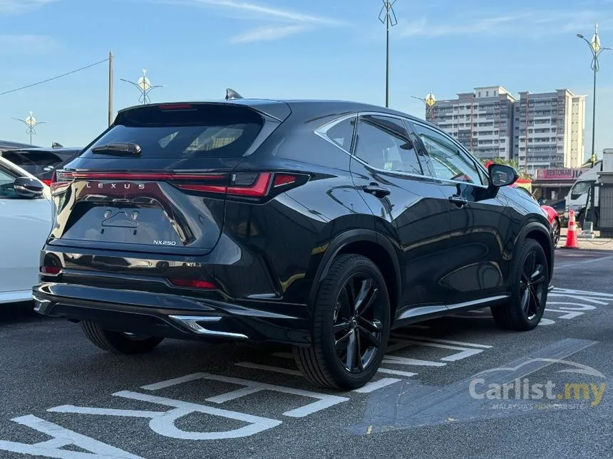 2023 Lexus NX 250 Luxury SUV