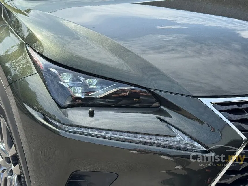 2021 Lexus NX 300 Premium SUV