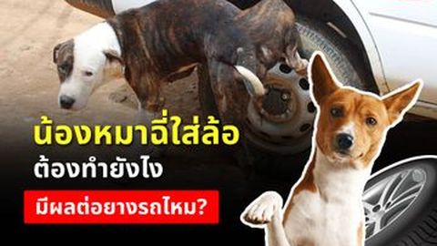 น้องฉี่ใส่ยาง เป็นอันตรายต่อการขับขี่ จริงหรอ?