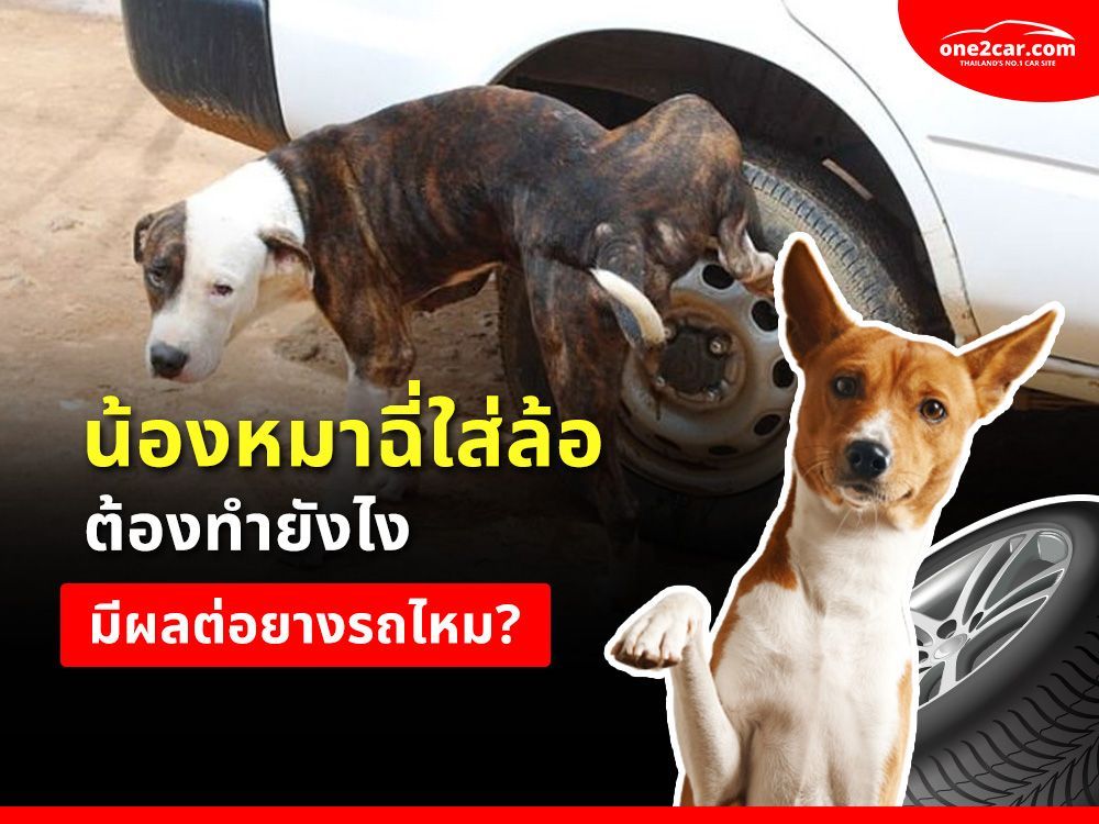 น้องฉี่ใส่ยาง เป็นอันตรายต่อการขับขี่ จริงหรอ?