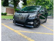 ALPINE DVD , UNREGISTER Toyota Alphard 2.5 SC Package MPV , PILOT SEAT , HALF LEATHER SEAT , POWER BOOT , TEIN SUSPENSION!!! NEW STOCK!!!