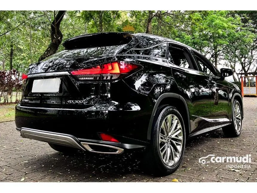 2020 Lexus RX300 Luxury SUV