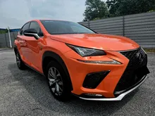 2019 Lexus NX 300 2.0 F Sport SUV (Good Condition)