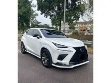 2020 Lexus NX300 2.0 F Sport SUV
