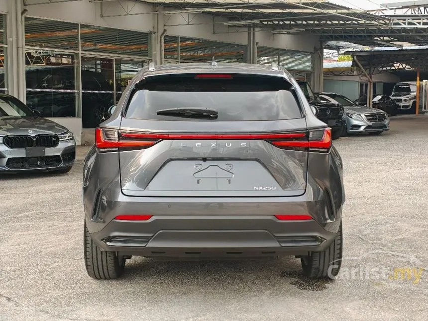 2022 Lexus NX 250 Luxury SUV