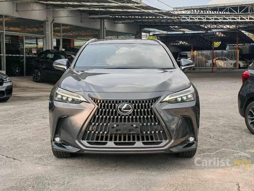 2022 Lexus NX 250 Luxury SUV