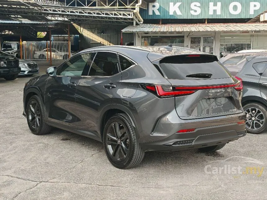 2022 Lexus NX 250 Luxury SUV