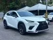 Recon 2019 Lexus NX300 2.0 F Sport SUV [BLK AND RED LEATHER, 4 CAMERA, POWER BOOT, BSM] PRICE CAN NEGO