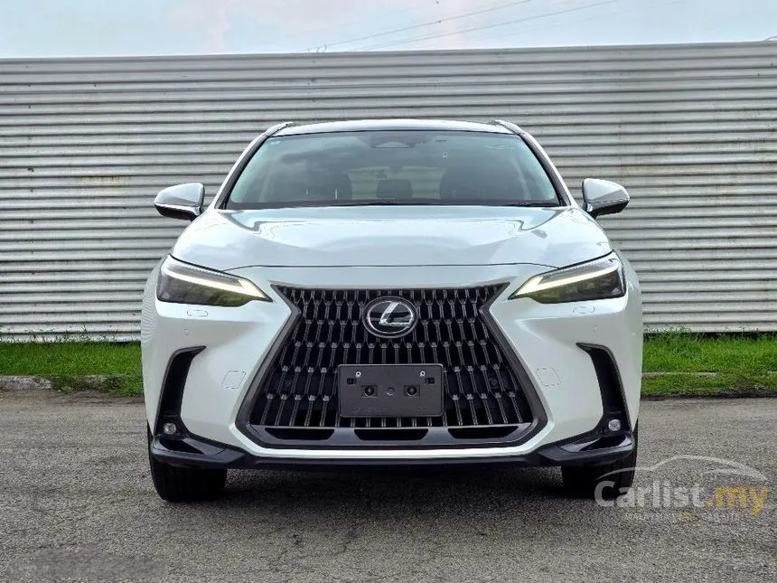 2024 Lexus NX 250 Luxury SUV