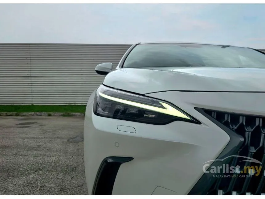 2024 Lexus NX 250 Luxury SUV