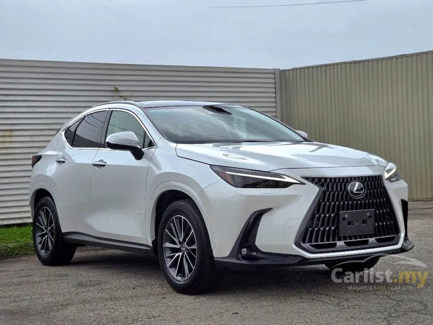 2024 Lexus NX 250 Luxury SUV