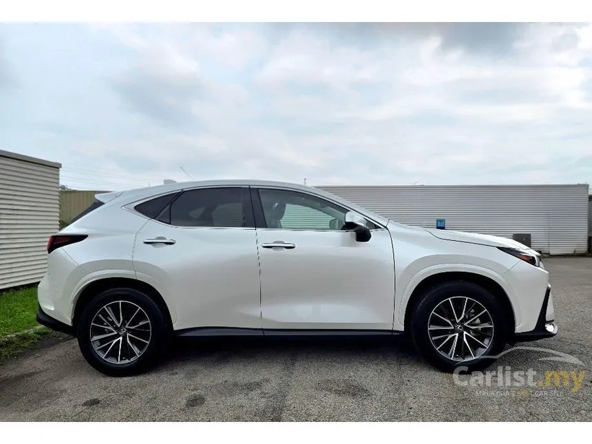 2024 Lexus NX 250 Luxury SUV