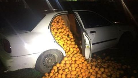 Suzuki Baleno Sedan Digunakan untuk Mencuri 4 ton Buah Jeruk