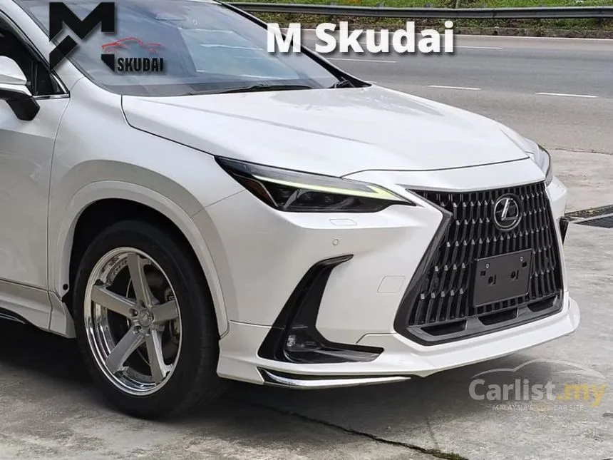2022 Lexus NX 250 Luxury SUV