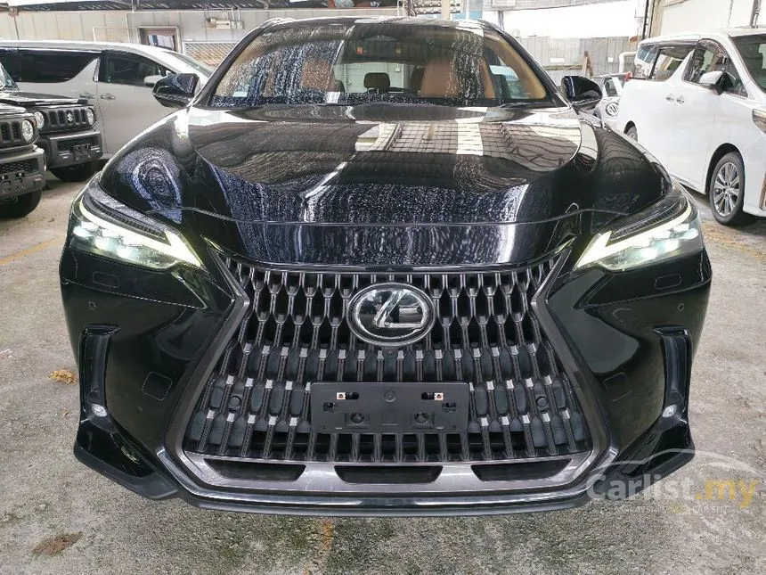 2022 Lexus NX 250 Luxury SUV