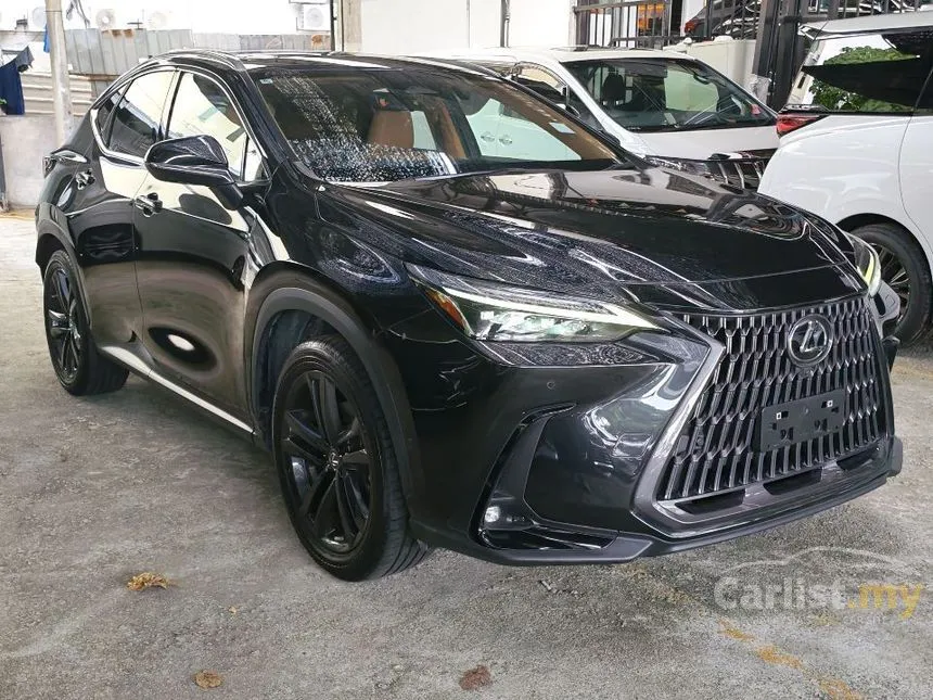 2022 Lexus NX 250 Luxury SUV