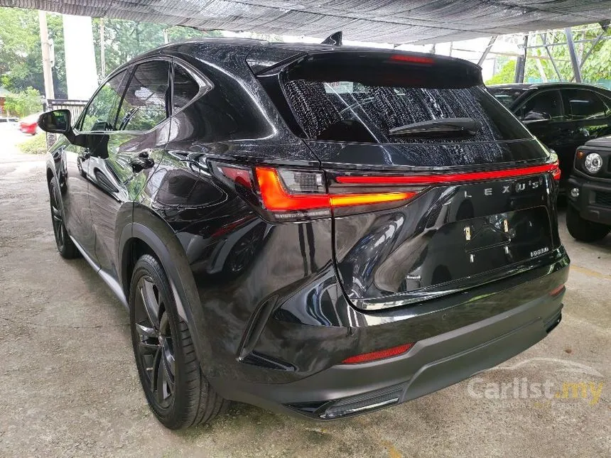 2022 Lexus NX 250 Luxury SUV