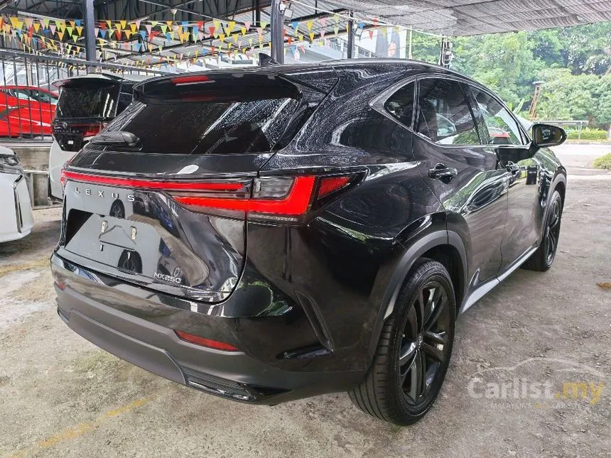 2022 Lexus NX 250 Luxury SUV