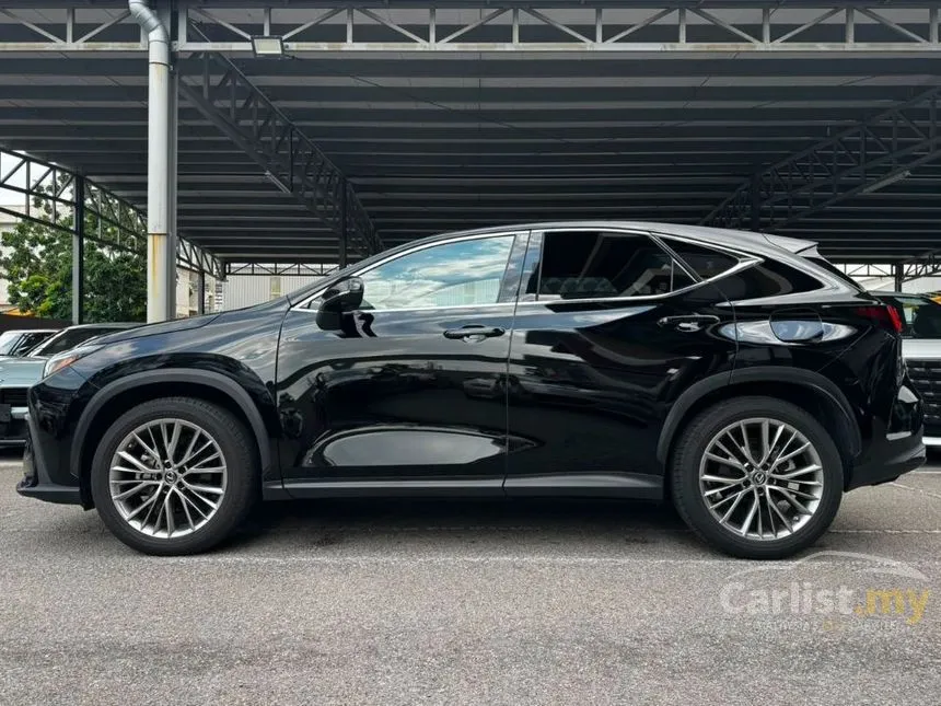 2023 Lexus NX 250 Luxury SUV