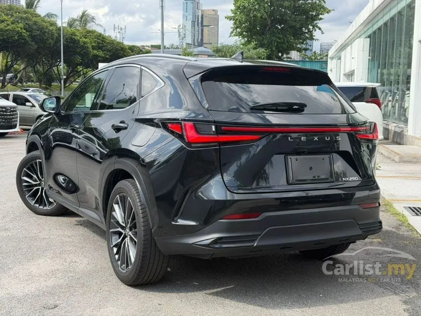 2023 Lexus NX 250 SUV